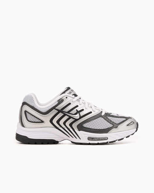 Nike Air Pegasus 2005